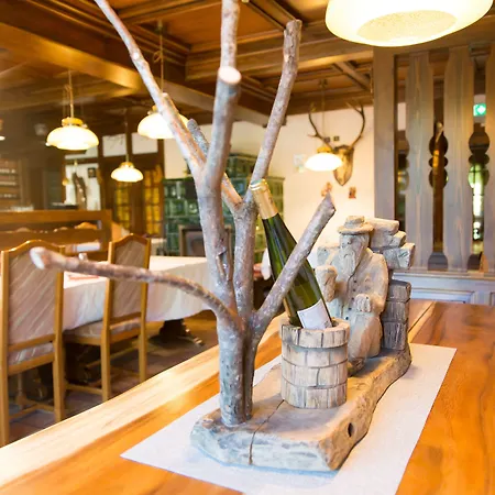 Le Freudeneck Hotel Wangenbourg-Engenthal