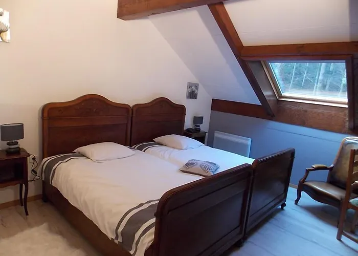 Le Freudeneck Hotel Wangenbourg-Engenthal