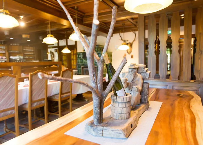 Le Freudeneck Hotel Wangenbourg-Engenthal