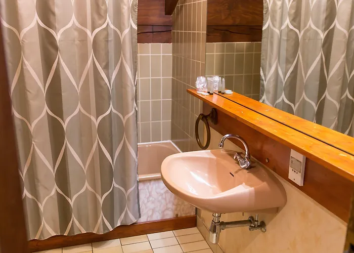 Hotel Le Freudeneck Wangenbourg-Engenthal